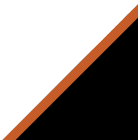 Asher Auto Care logo featuring a stylized orange and black design, representing automotive repair services in Dallas, TX.