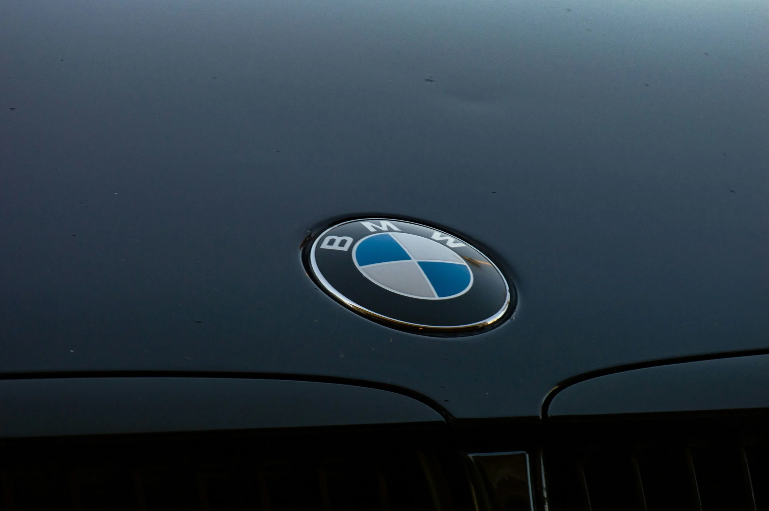BMW logo on the hood of a European car, representing automotive engineering and luxury car service in Dallas, TX.